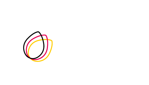 DSEE Gefördert Logo