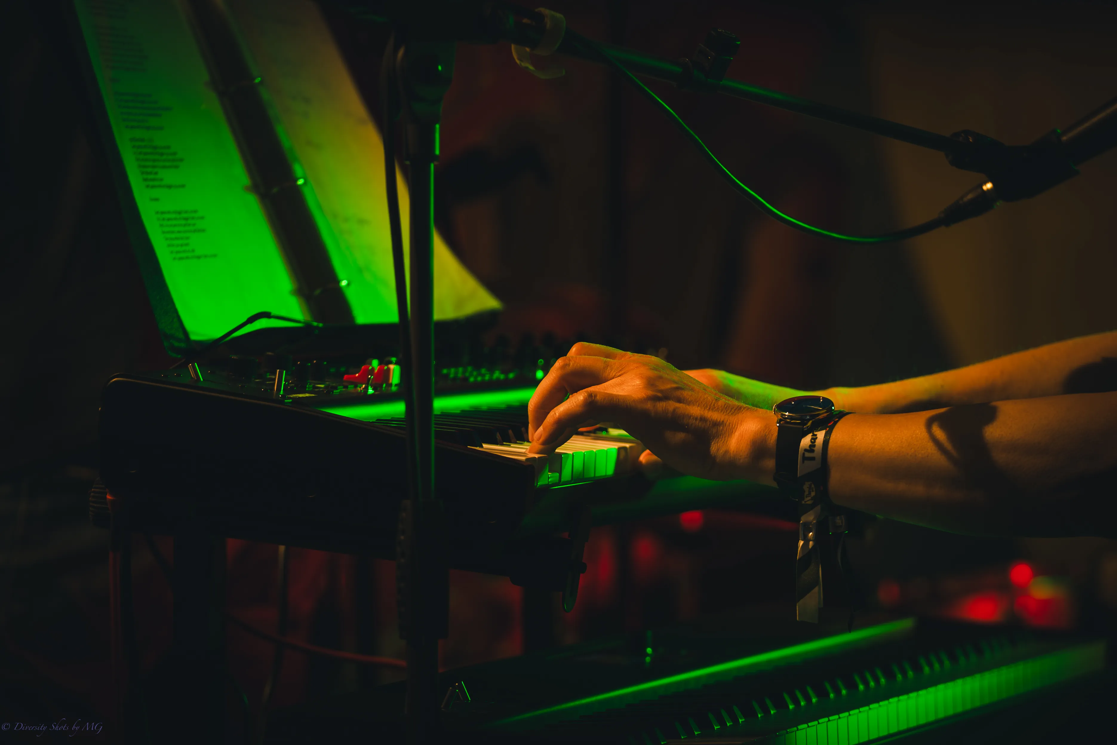 Tharalala_OpenAir24-101.webp