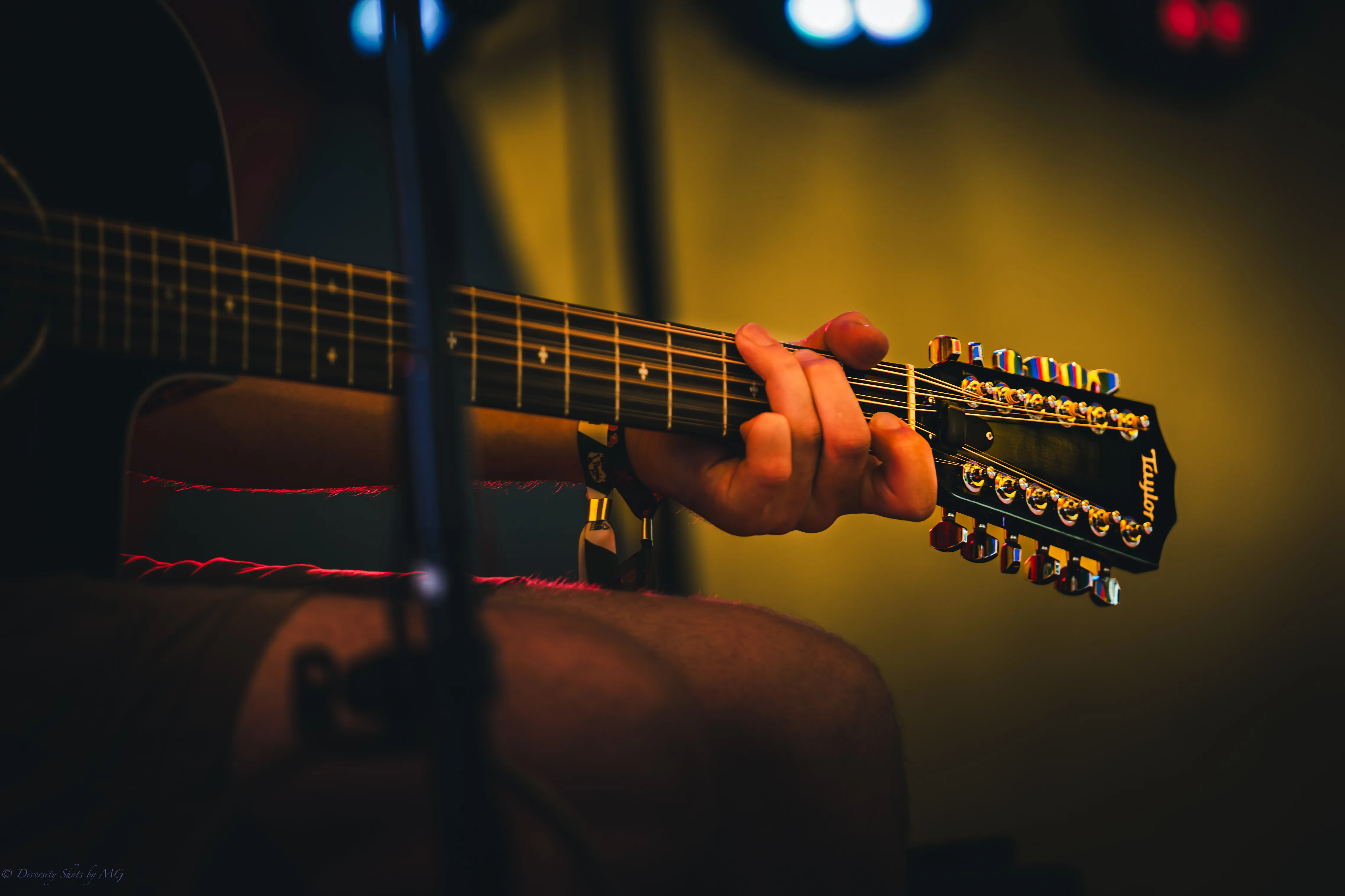 Tharalala_OpenAir24-85.webp